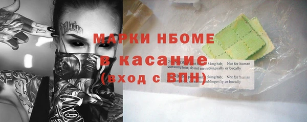 стаф Аркадак