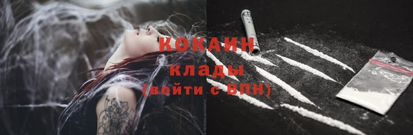 крисы Армянск